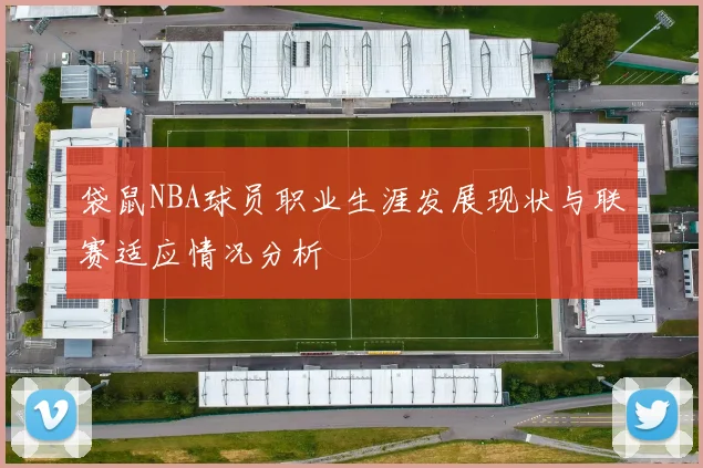 袋鼠NBA球员职业生涯发展现状与联赛适应情况分析