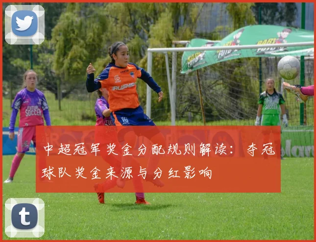 中超冠军奖金分配规则解读：夺冠球队奖金来源与分红影响