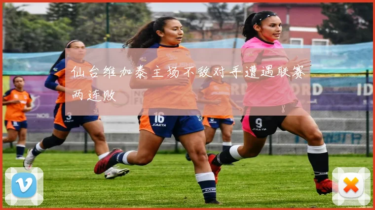 仙台维加泰主场不敌对手遭遇联赛两连败